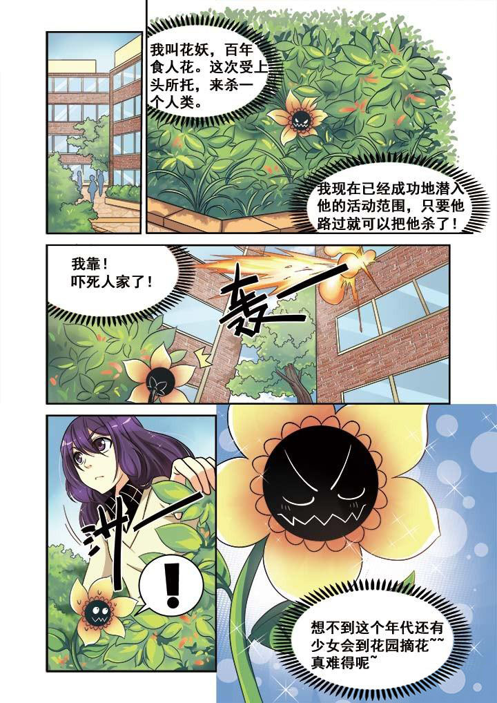 第11章：3