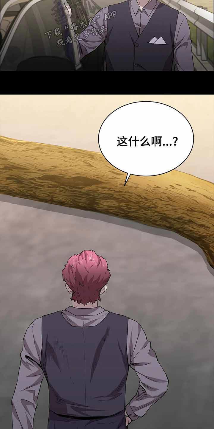 第55章：埋伏4