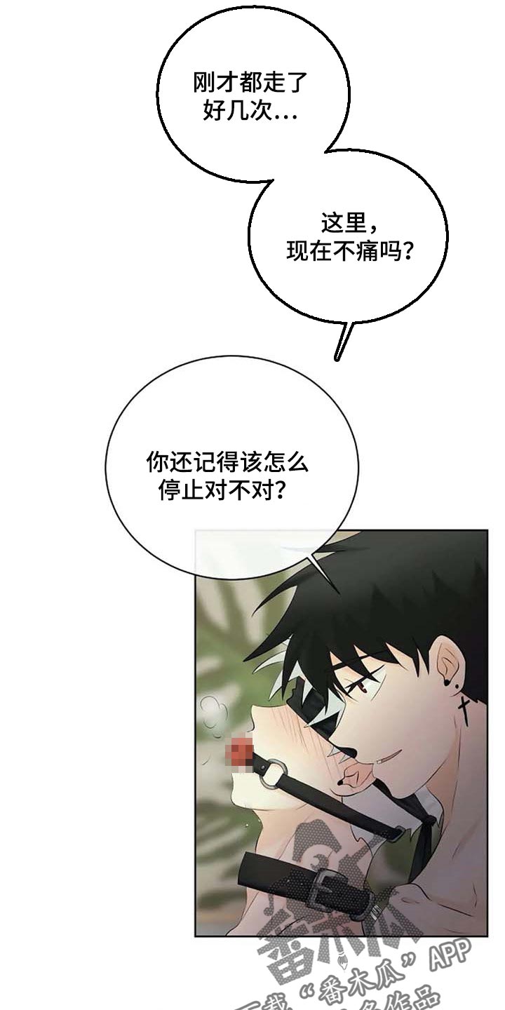 第45章：解气为止2