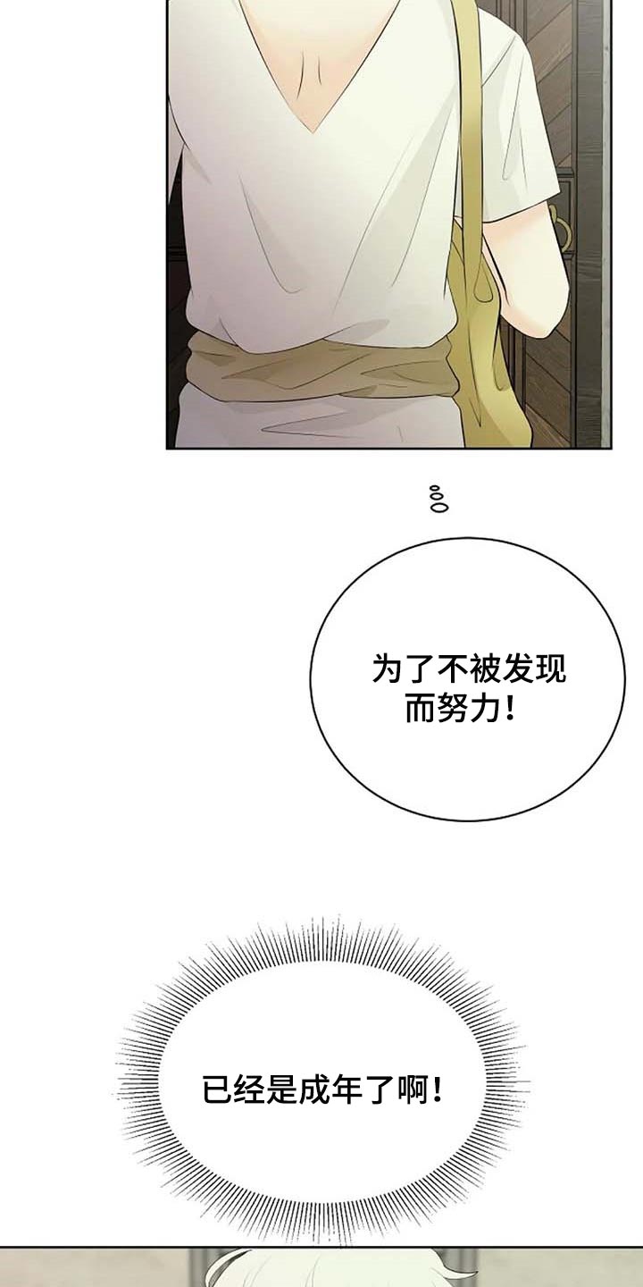第65章：公私分明2