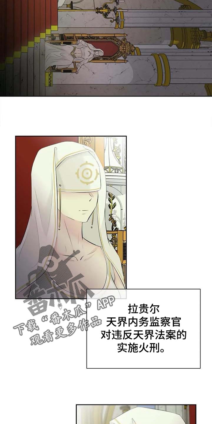 第61章：偏方2