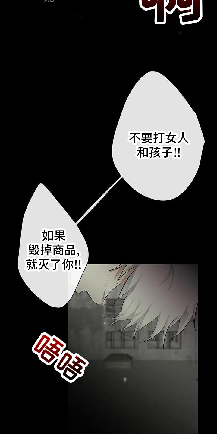 第95章：复仇4