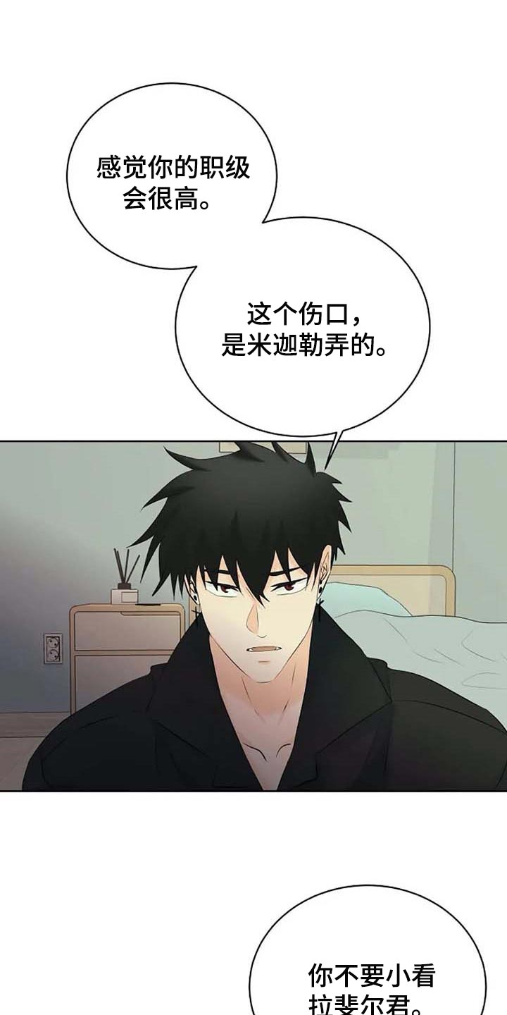 第56章：解释3