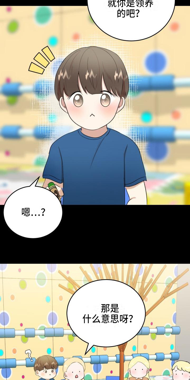 第17章：领养4