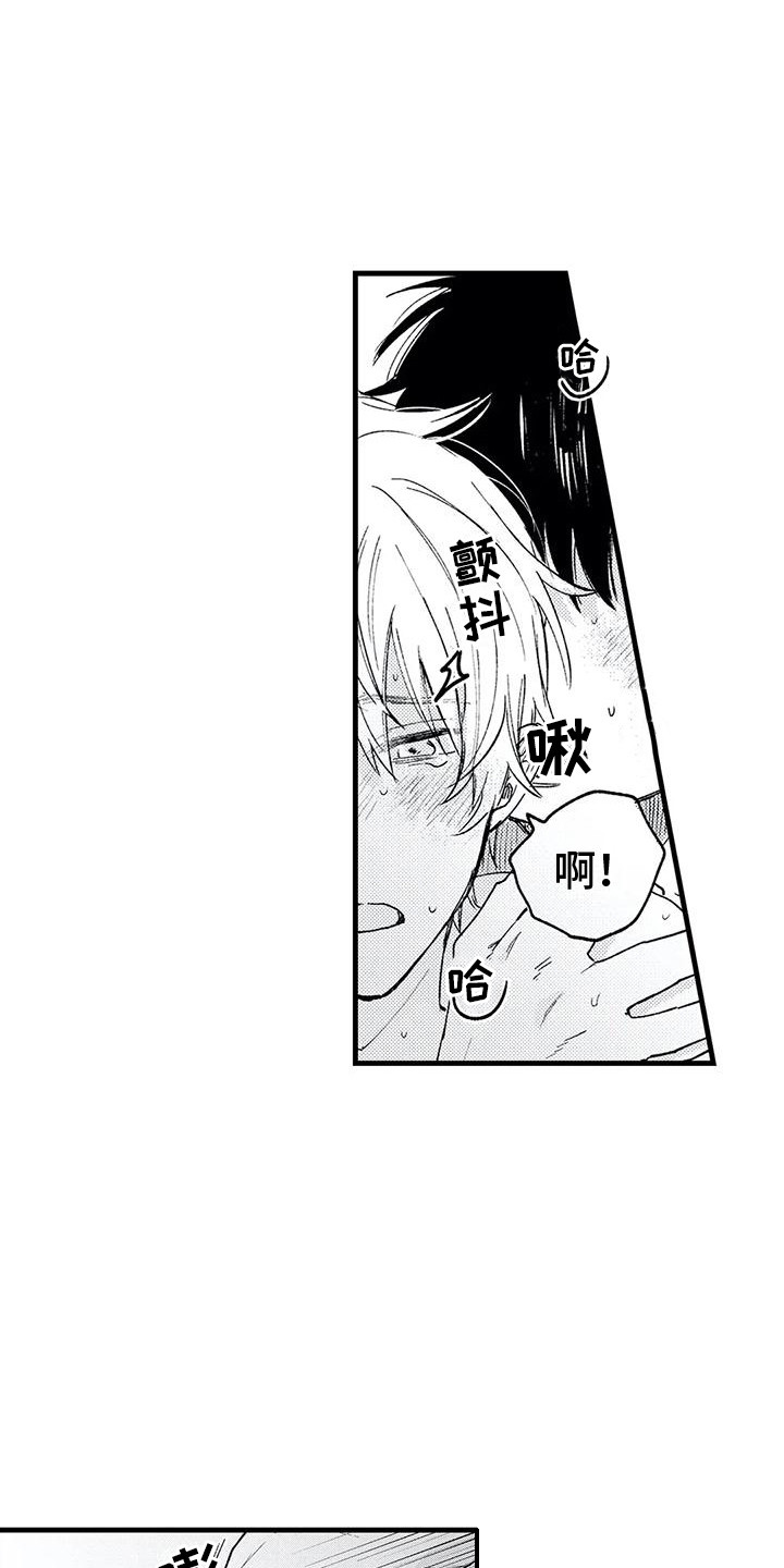 第34章：结为伴侣3