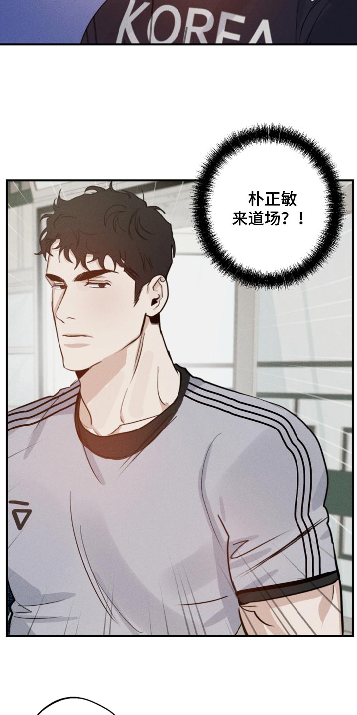 第29章：幻影3