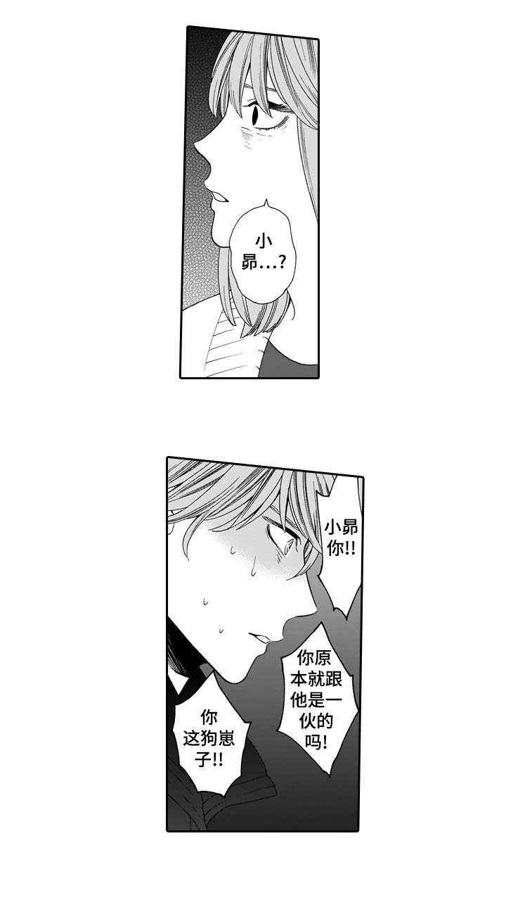 第20章：眼睛0