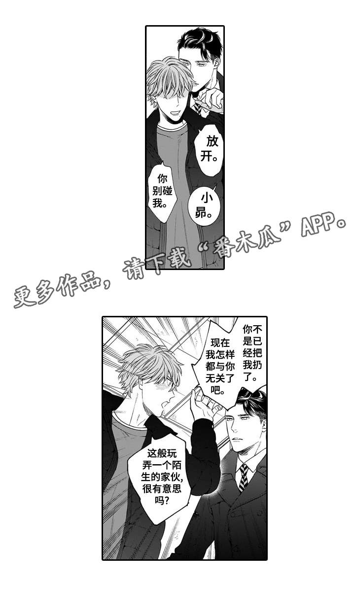 第20章：眼睛3