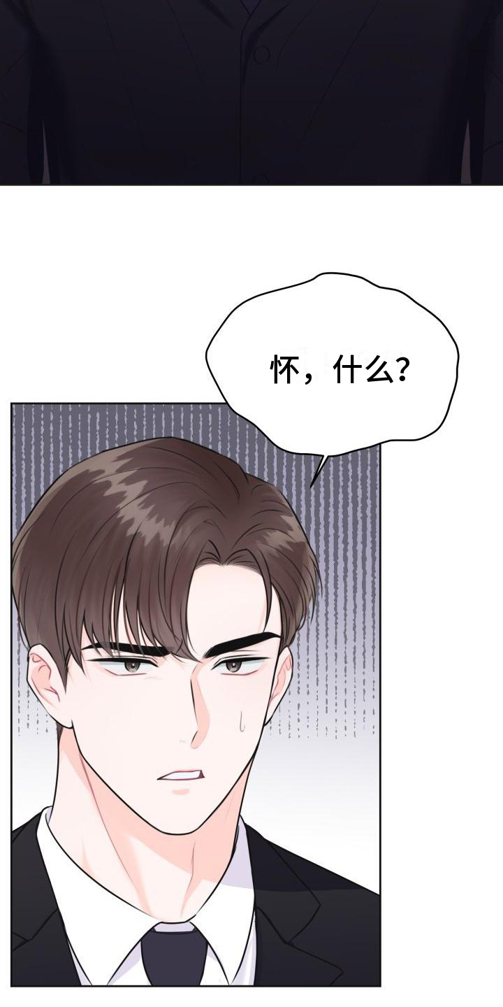 第1章：怀孕1