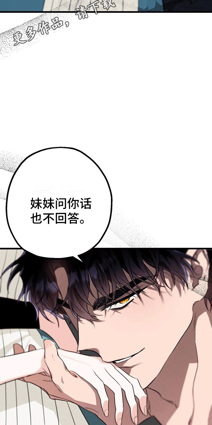 第17章：惯例4