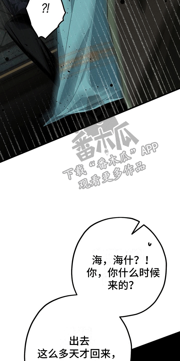第17章：惯例0