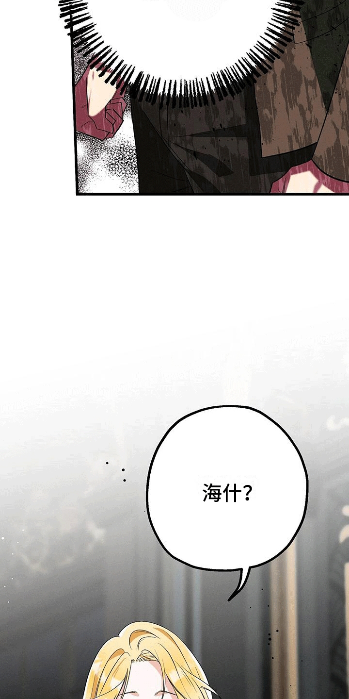 第17章：惯例2