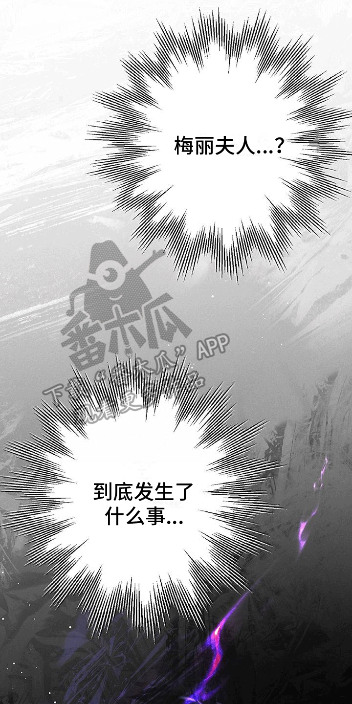 第23章：梅丽夫人2