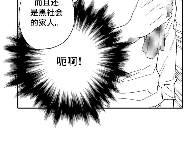 第21章：黑社会女儿0