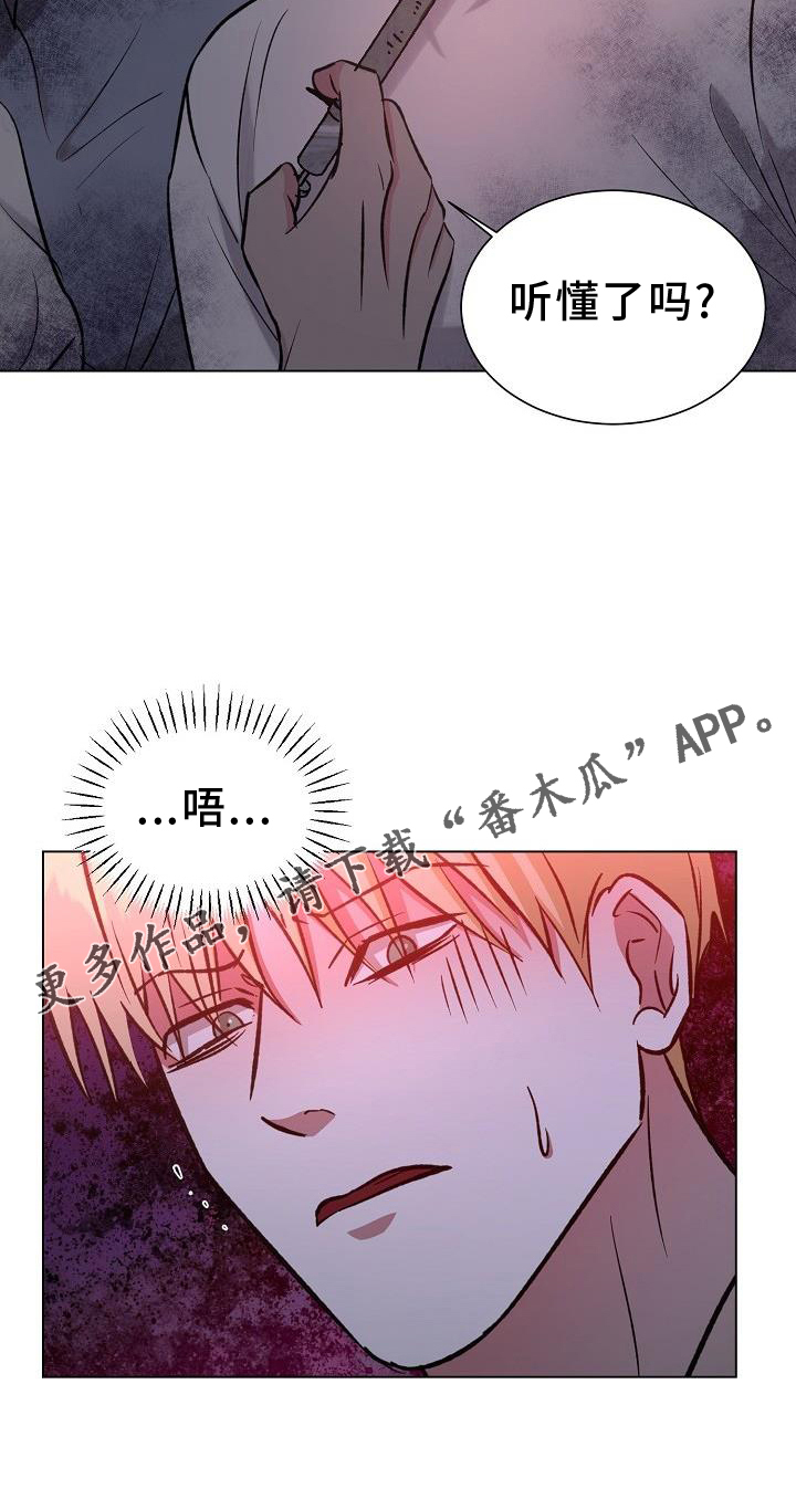 第48章：物以类聚1