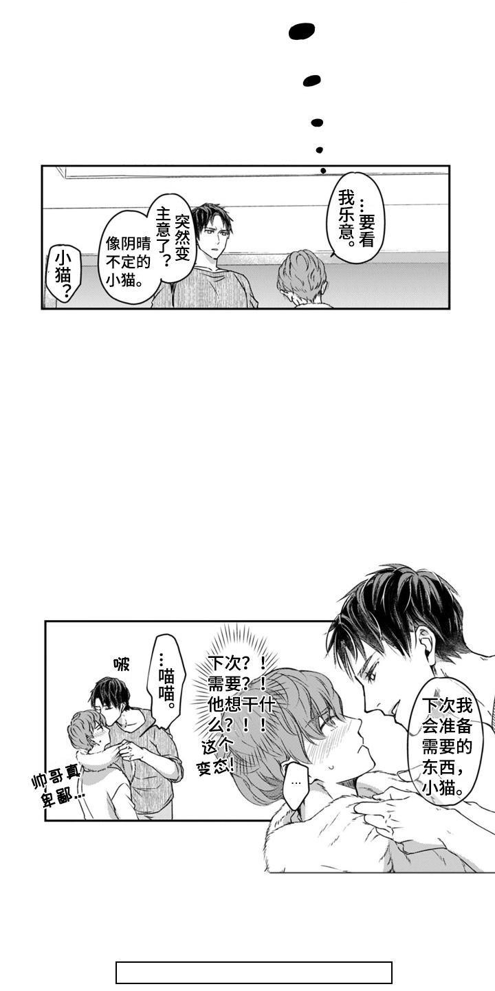 第4章：小猫咪2