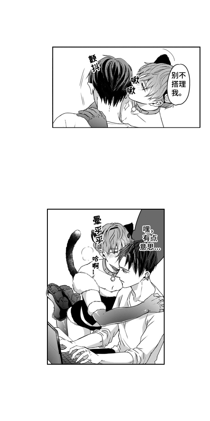 第5章：调皮0