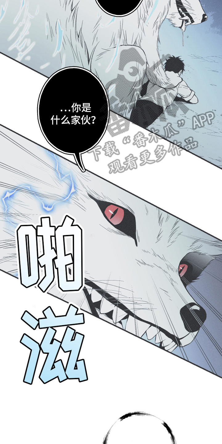 第15章：召唤1