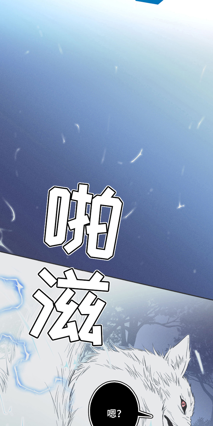 第15章：召唤0