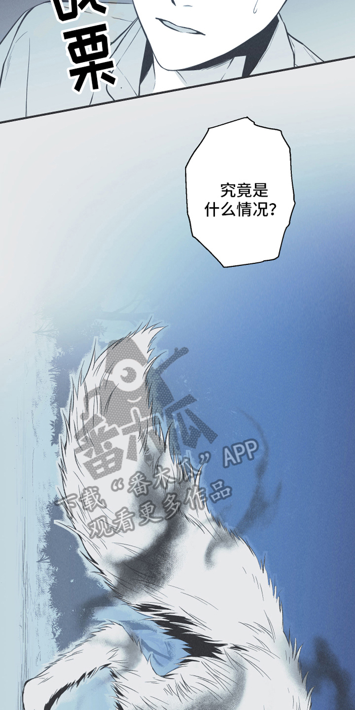 第14章：逃跑2