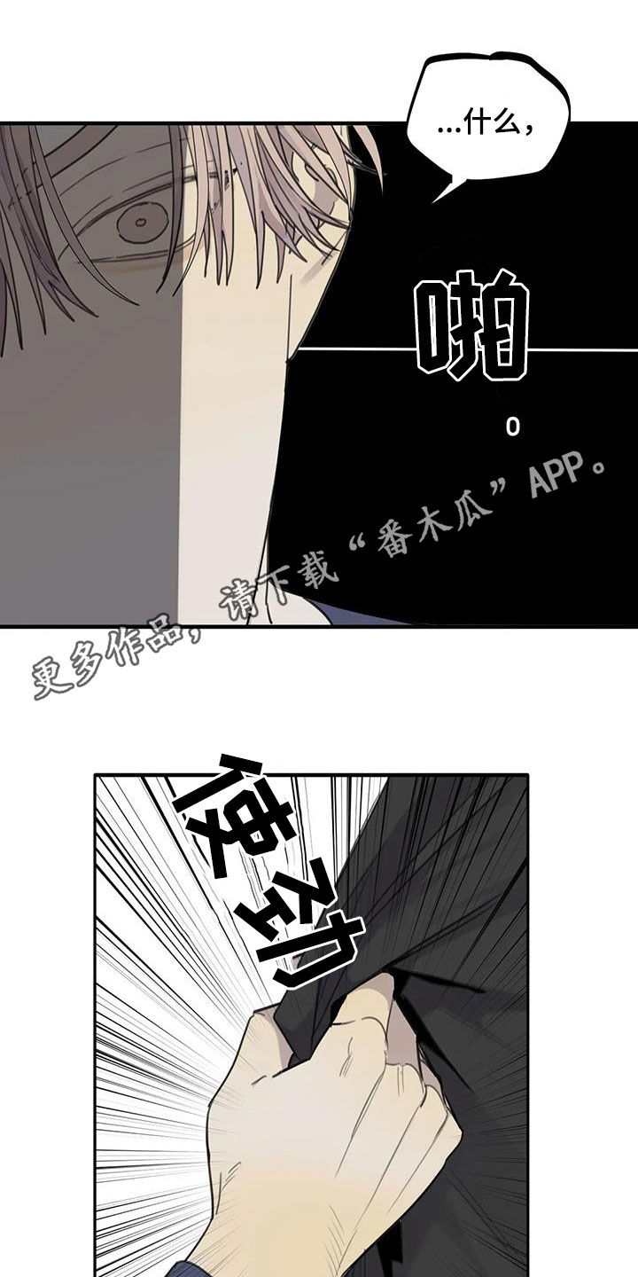 第77章：【第二季】计划进行中0
