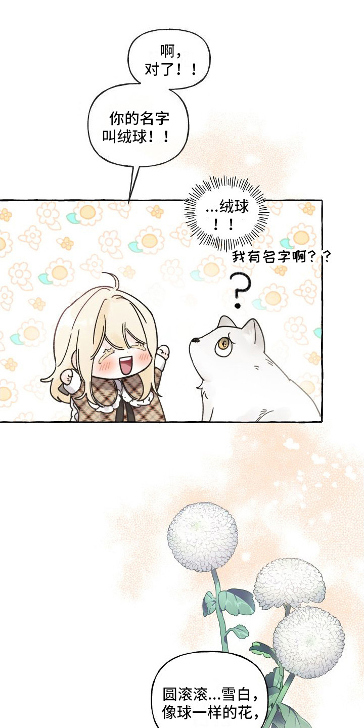 第14章：绒球0
