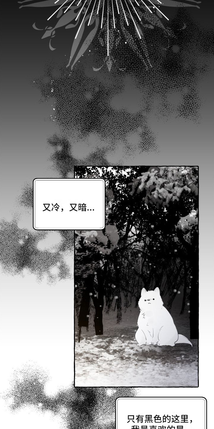 第14章：绒球0