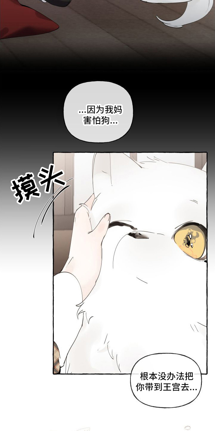 第14章：绒球2