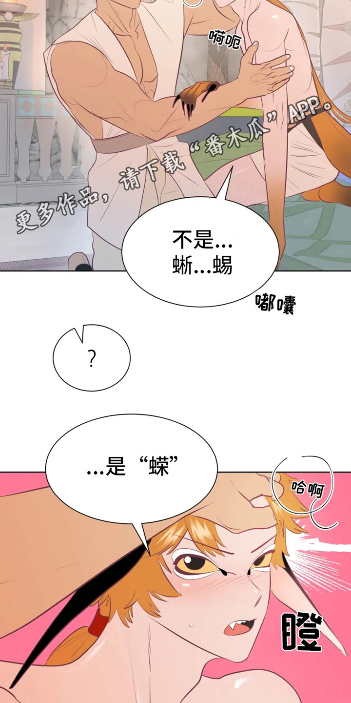第16章：症状3