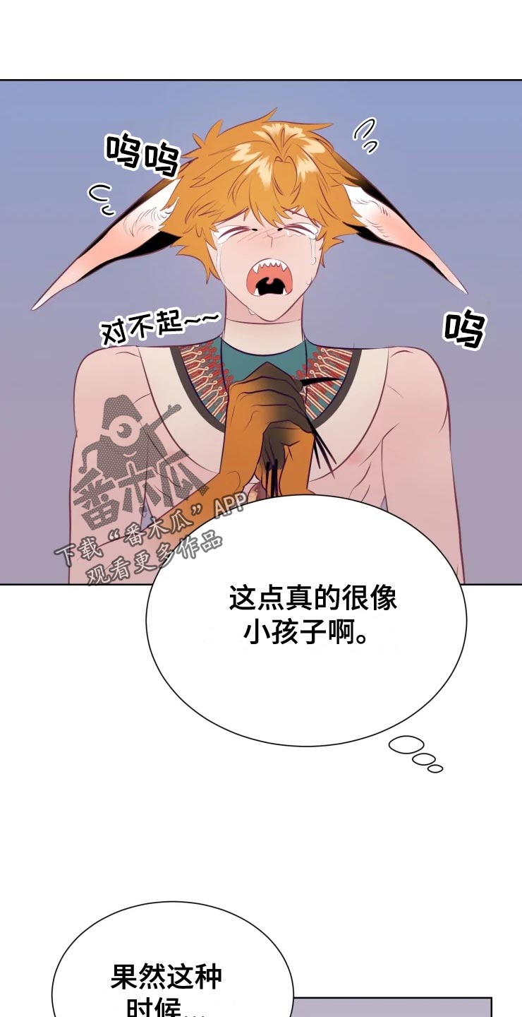第36章：王国庆典3