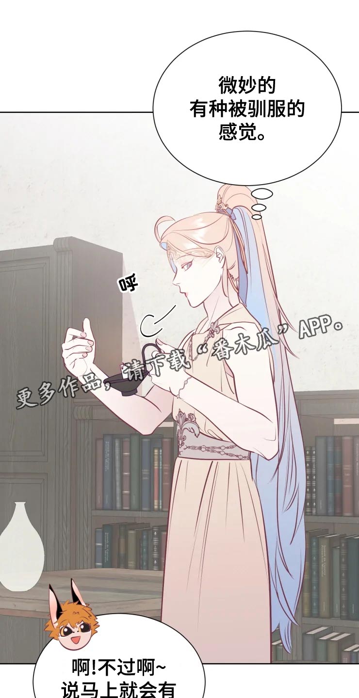 第36章：王国庆典2