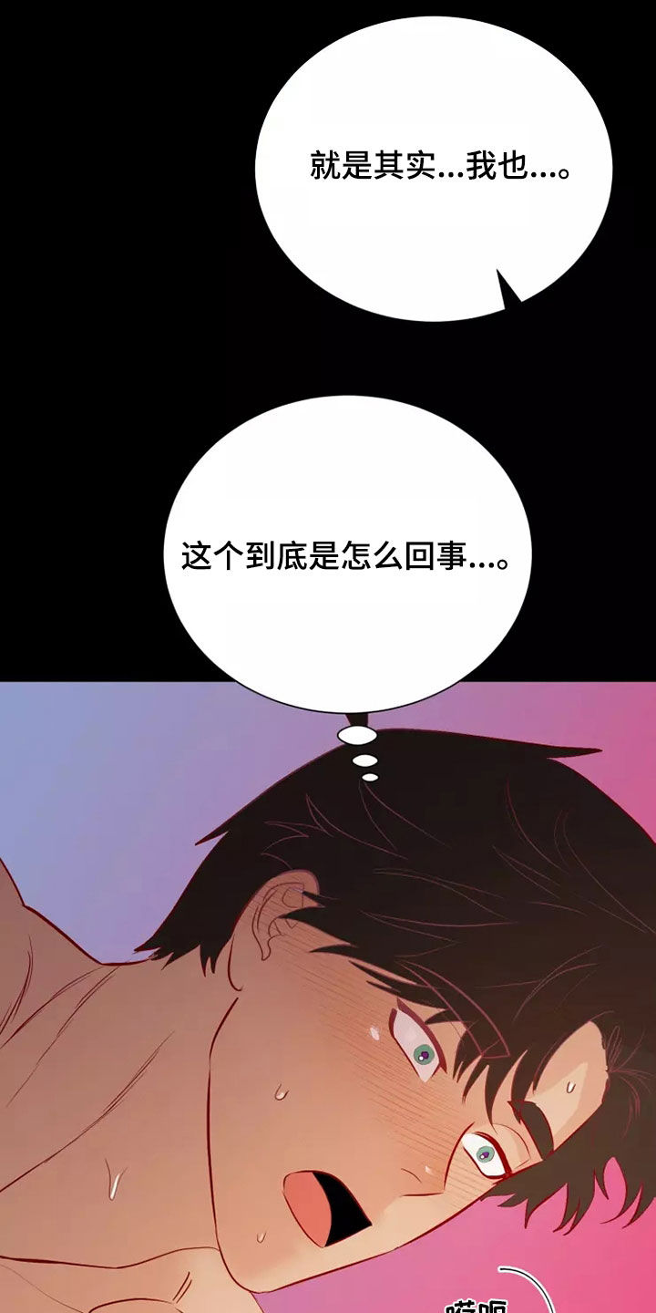 第71章：没能说的事情1