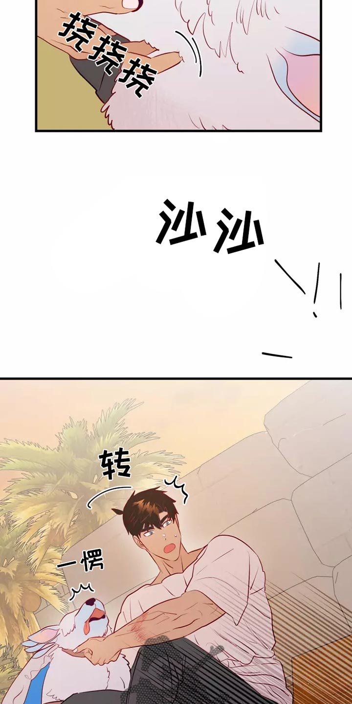第47章：大型怪物4