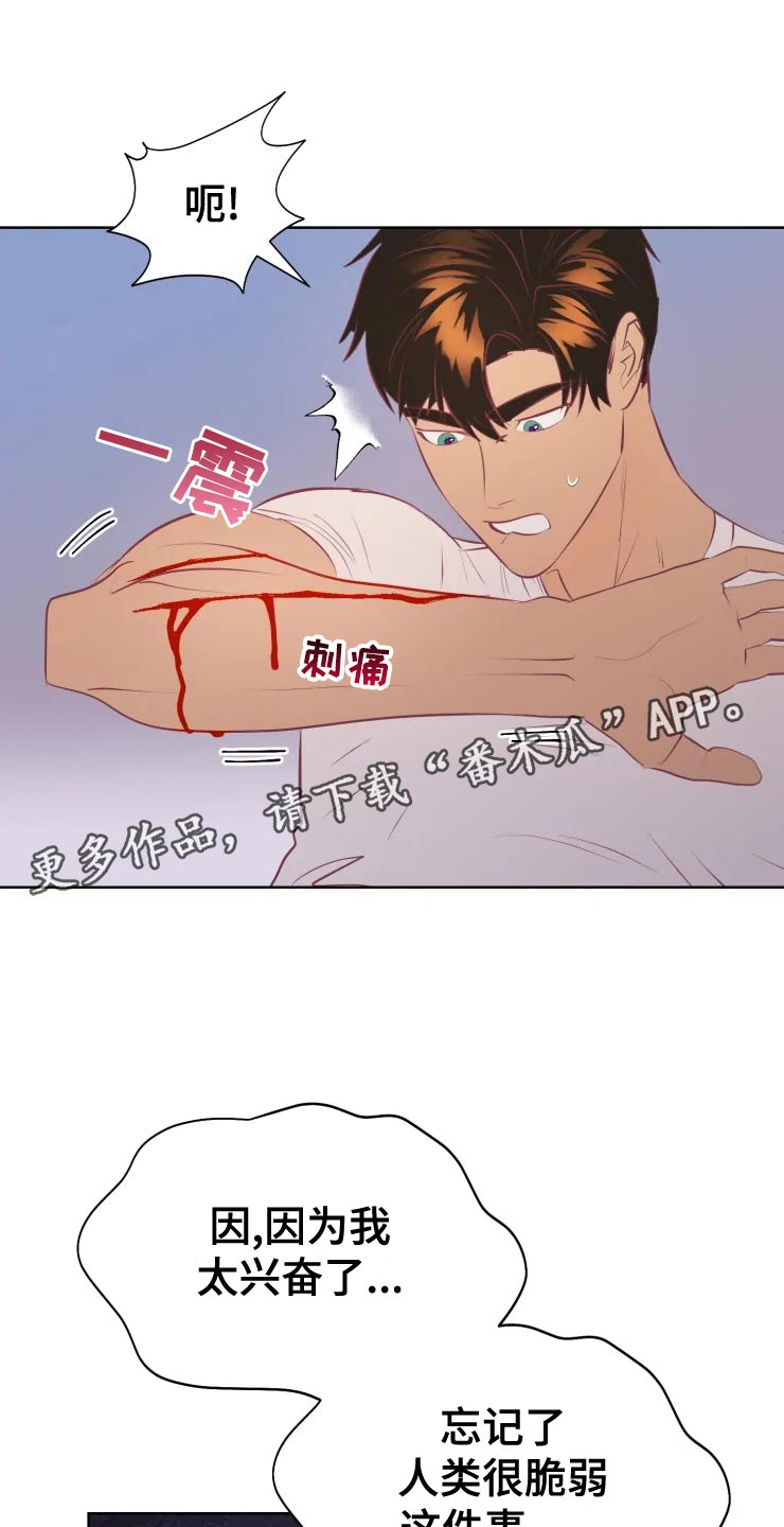 第36章：王国庆典0