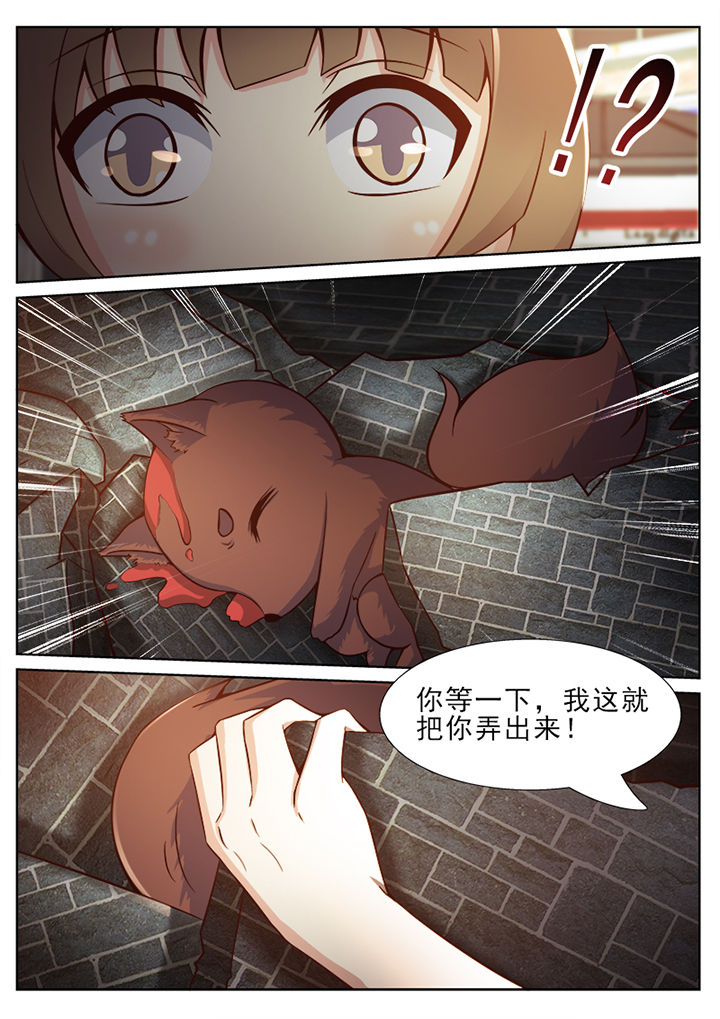 第41章：1
