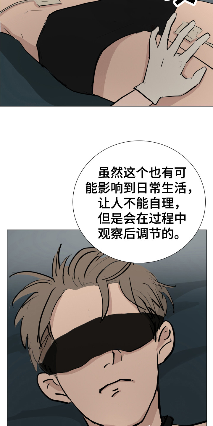 第12章：感官刺激3