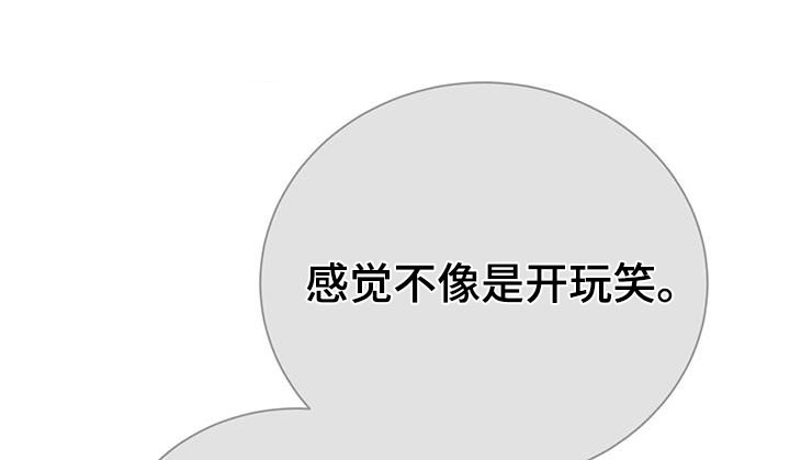 第97章：活动0