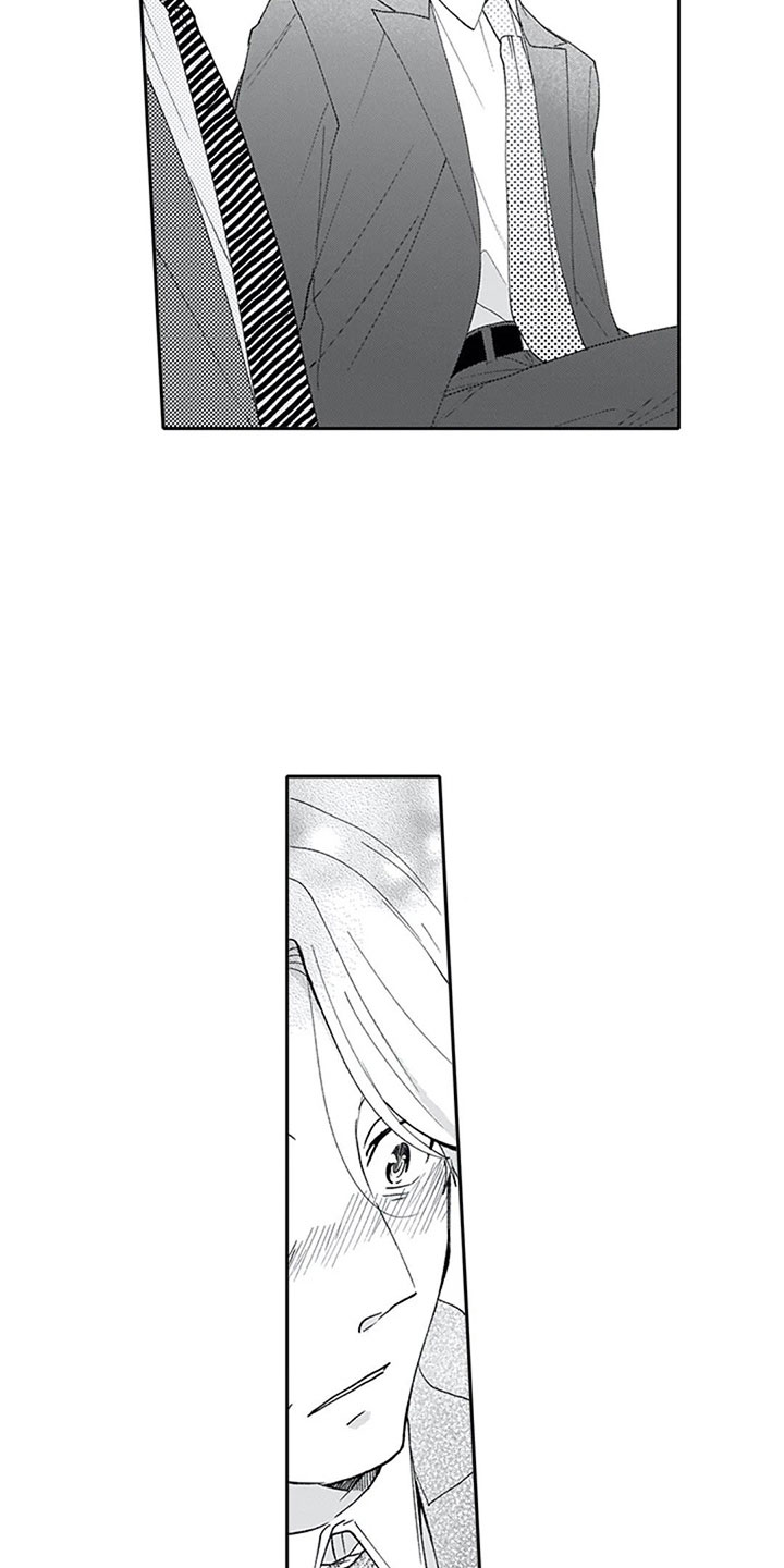 第16章：混淆1
