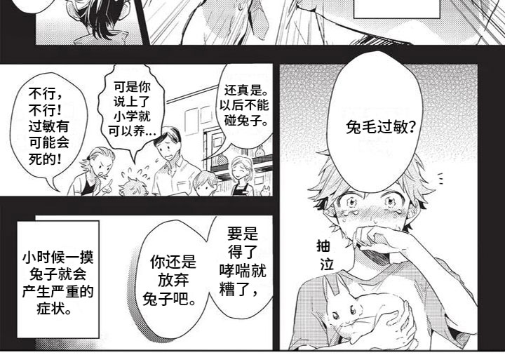 第1章：兔毛过敏4