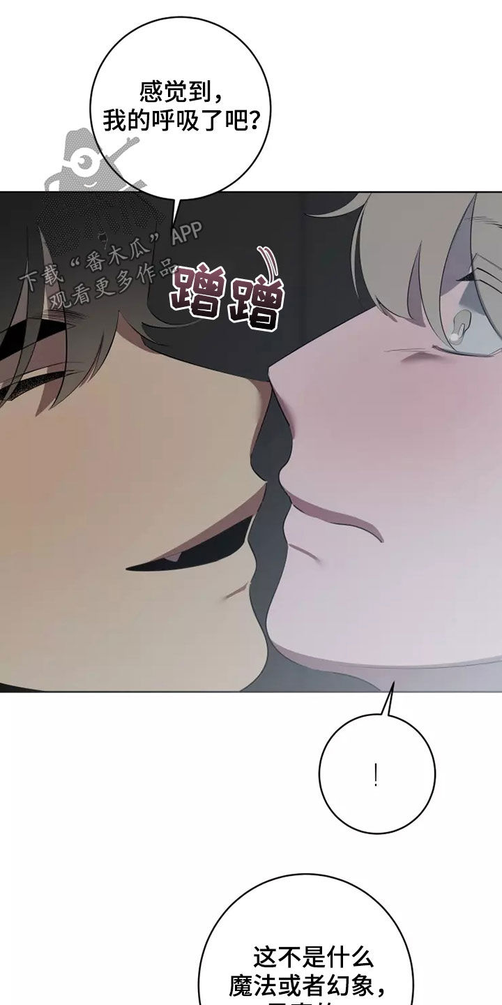 第64章：都是真的2