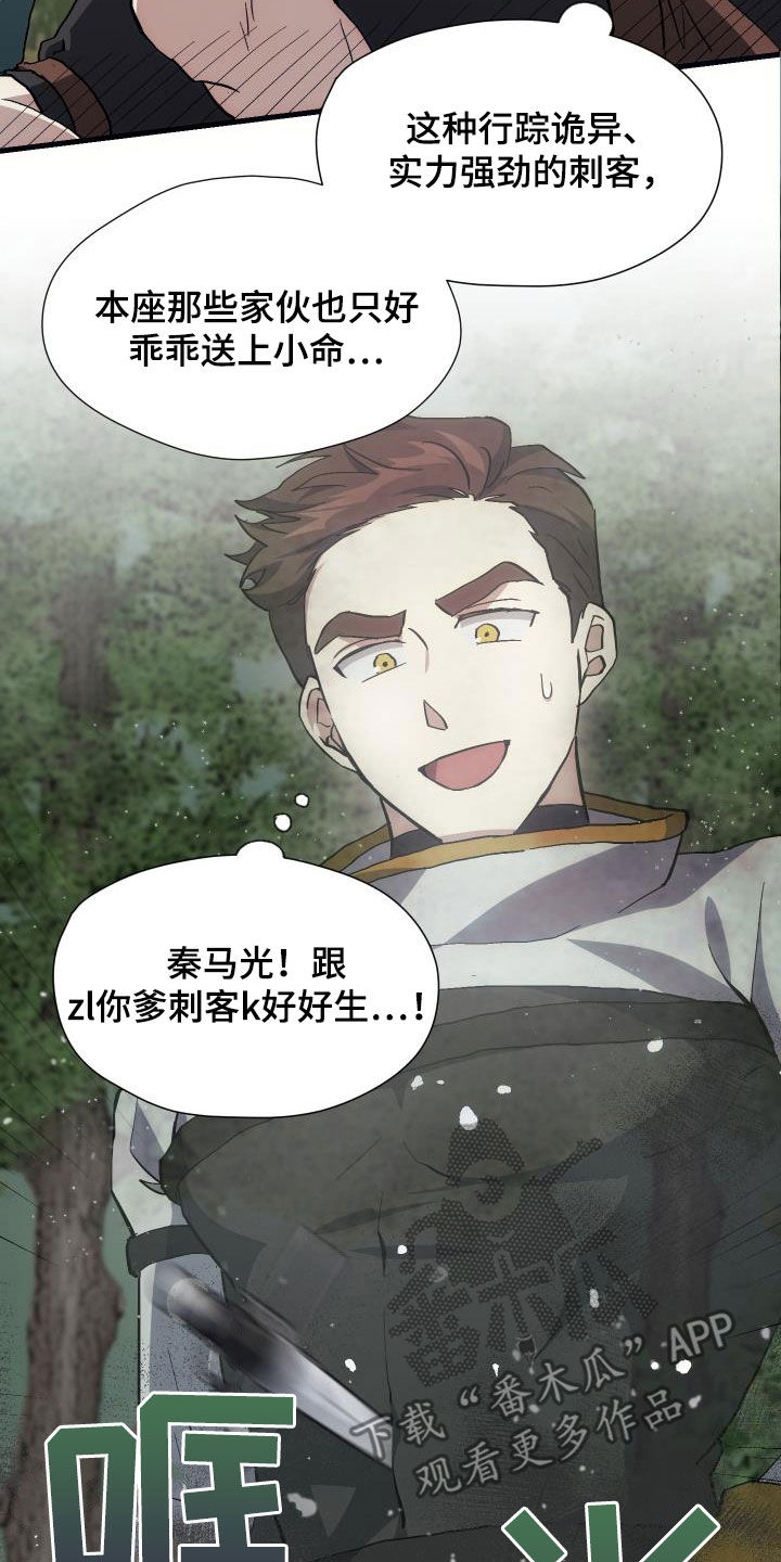 第29章：神秘刺客1