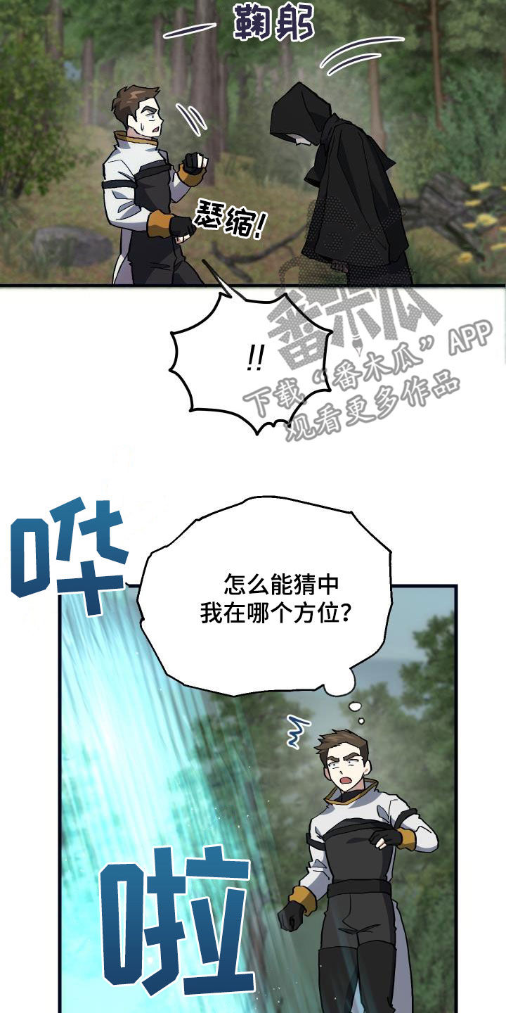 第29章：神秘刺客4
