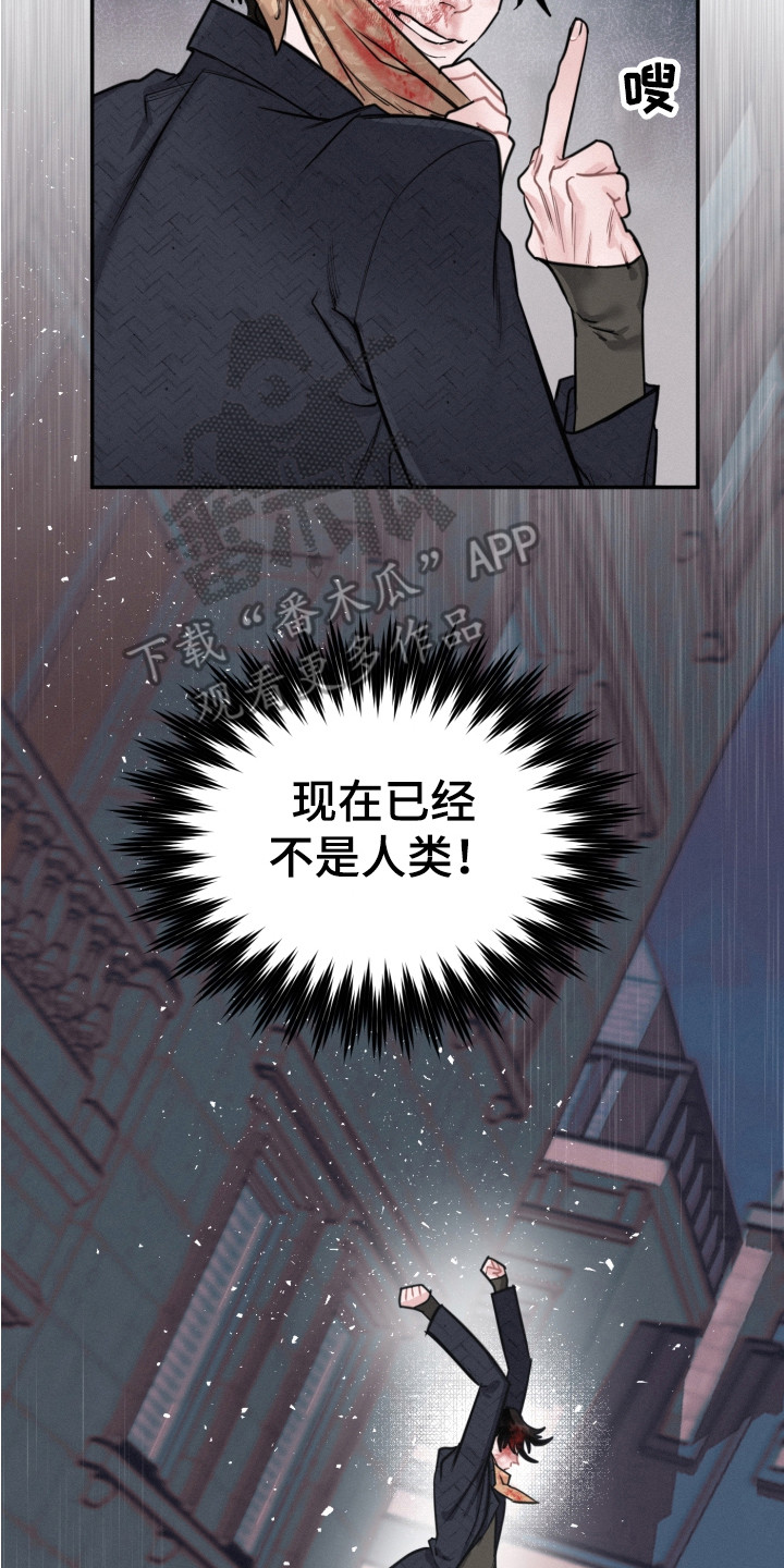 第14章：调查1