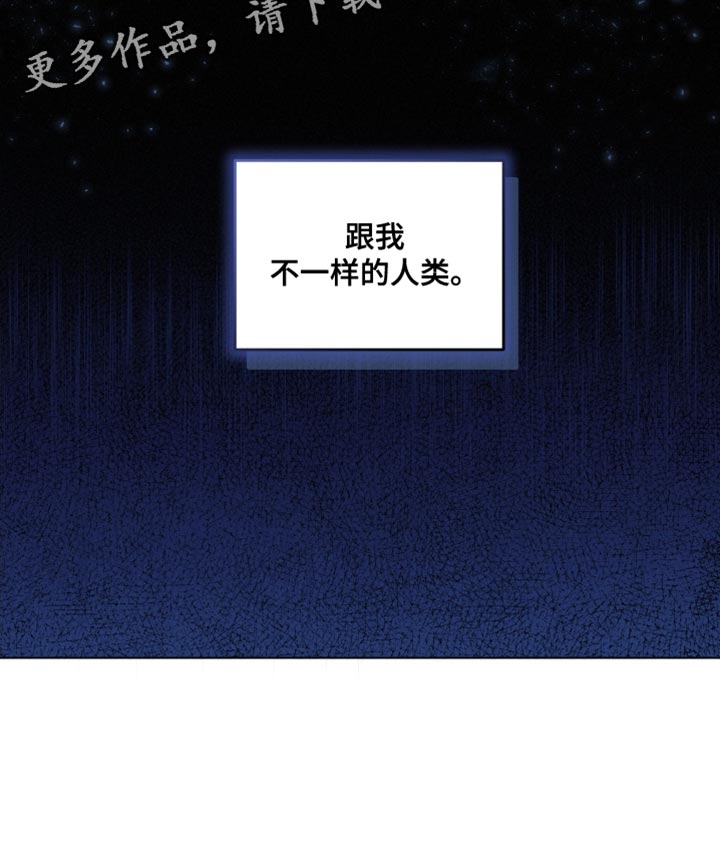 第31章：不一样的人类2