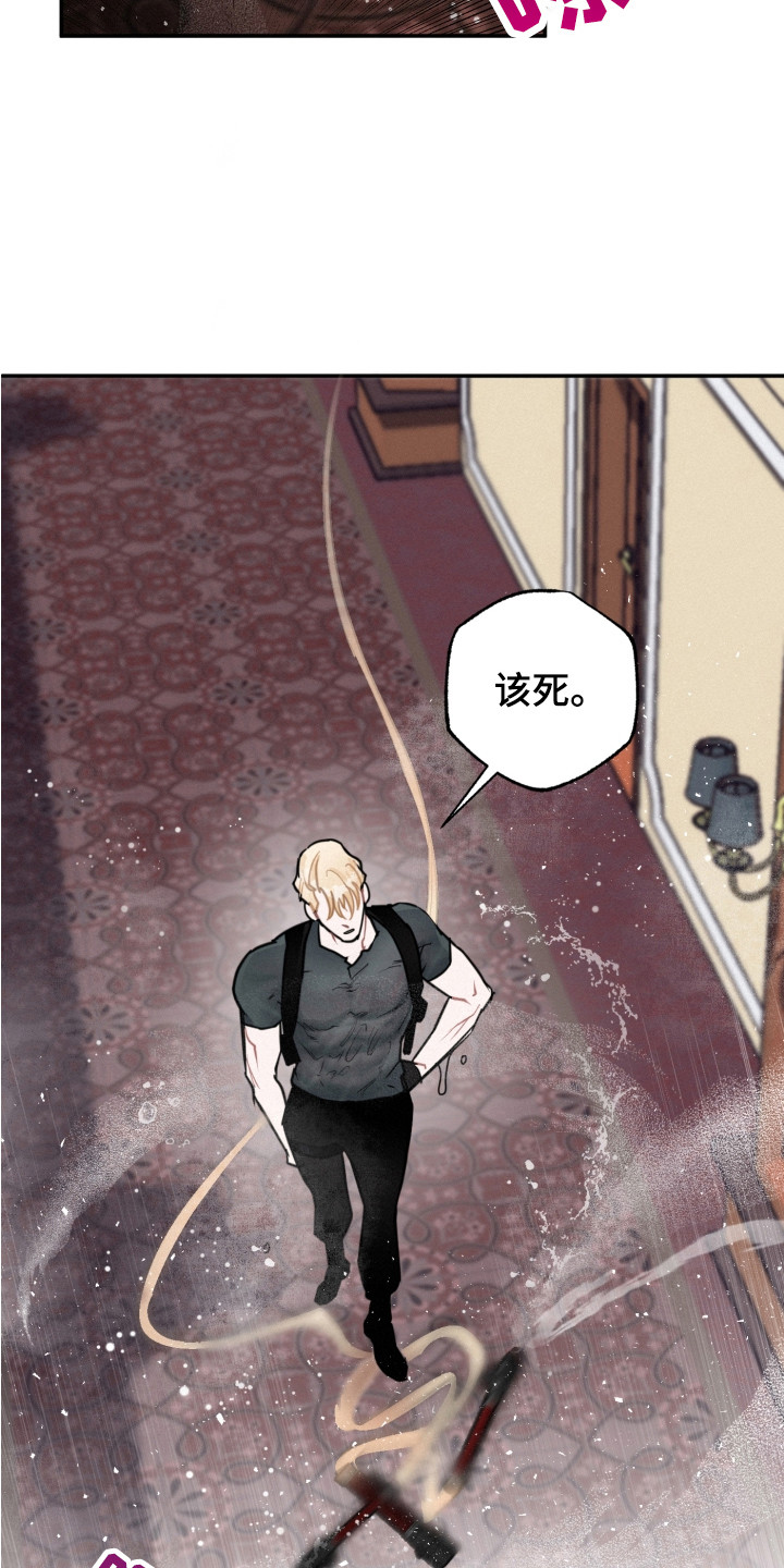 第14章：调查3