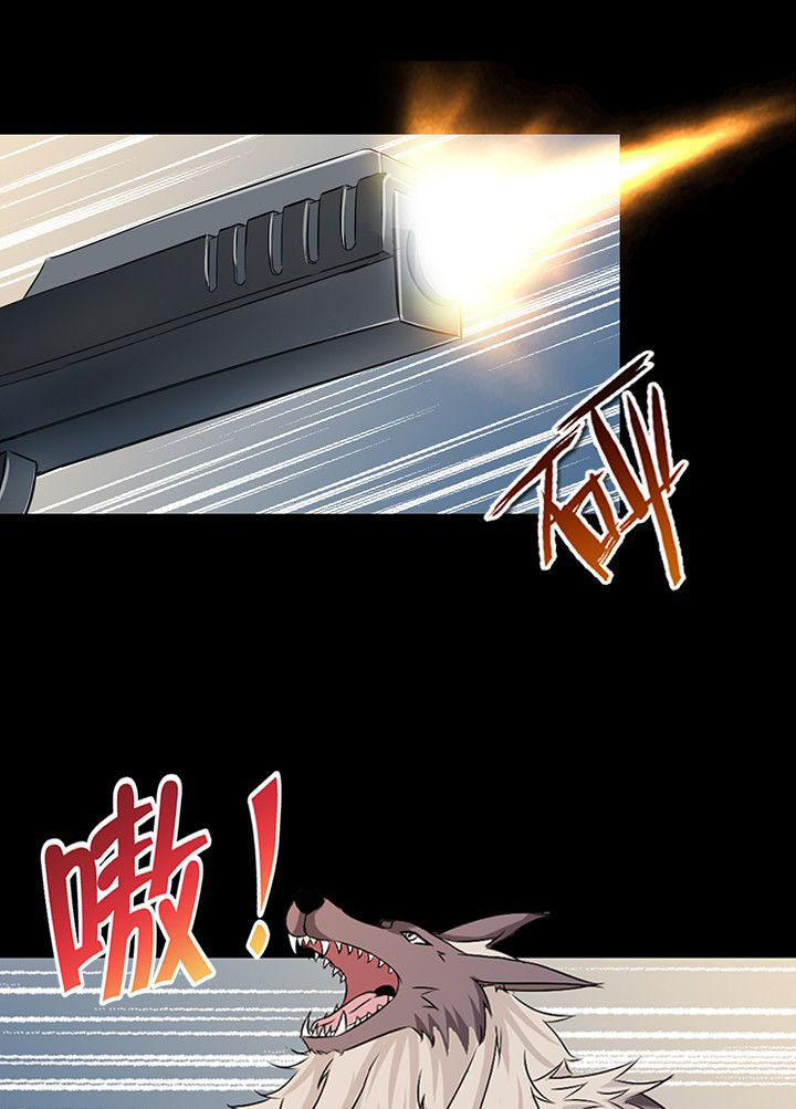 第51章：1