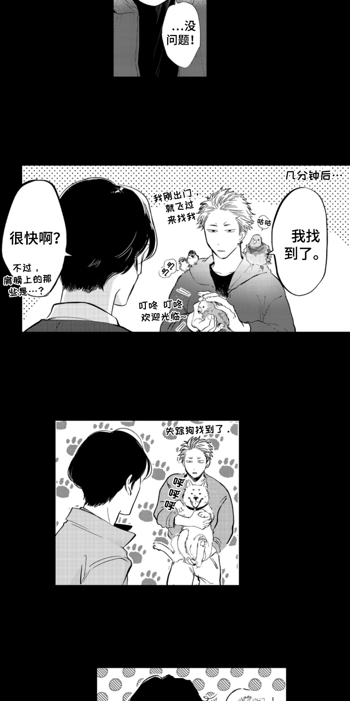 第3章：找猫2
