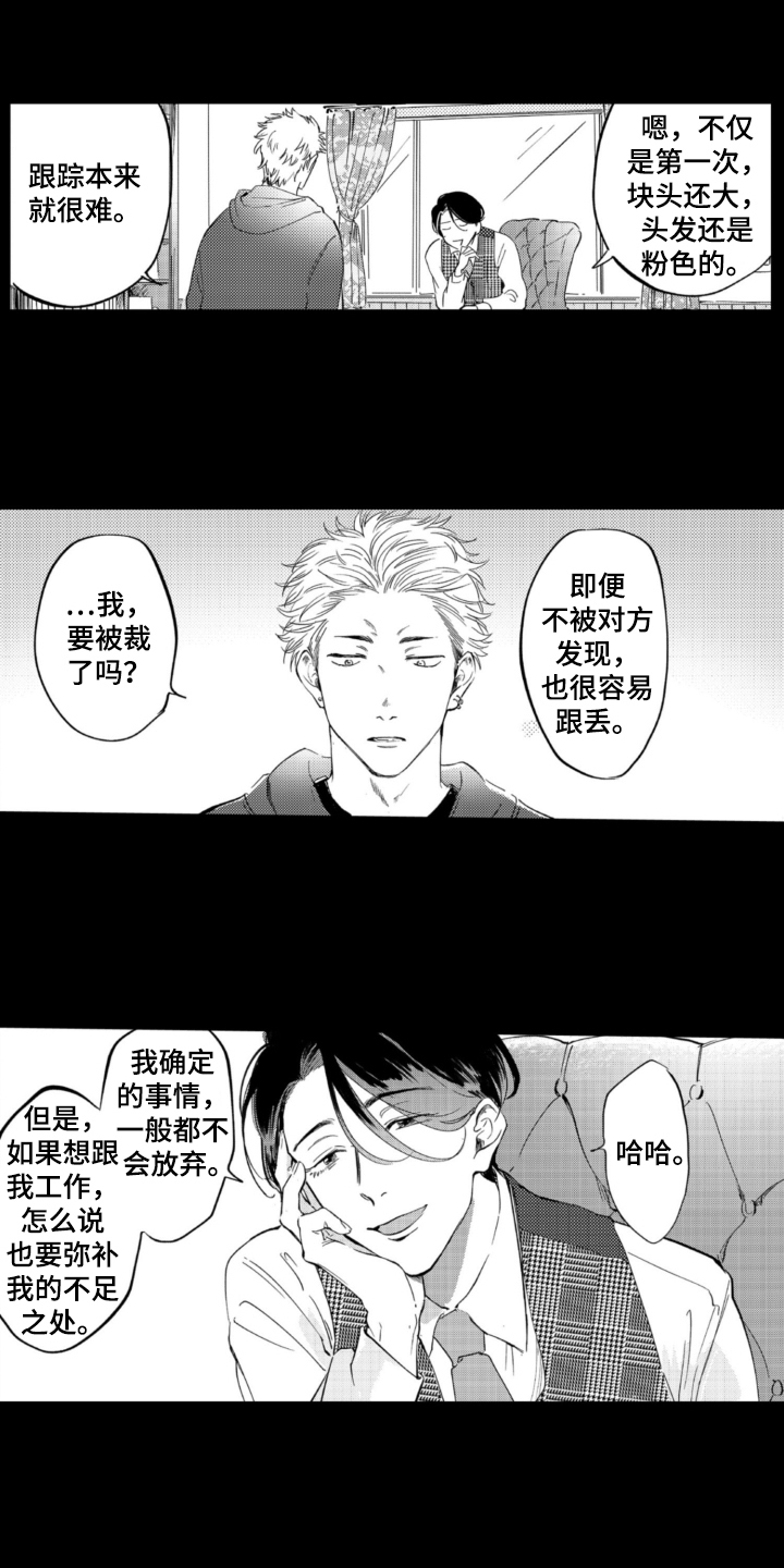 第3章：找猫0