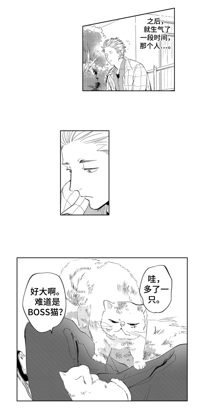 第3章：找猫4