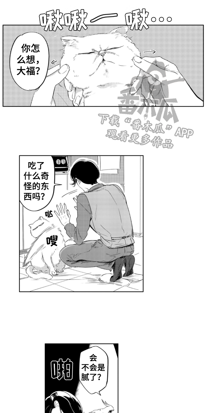 第29章：建议0
